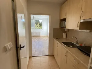 Pronájem bytu 1+kk, Brno - Královo Pole, Herčíkova, 29 m2