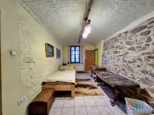 Prodej vícegeneračního domu, Kasejovice, 433 m2