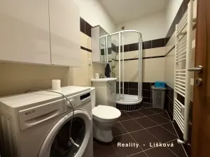 Pronájem bytu 2+1, Ústí nad Labem - Neštěmice, Opletalova, 50 m2