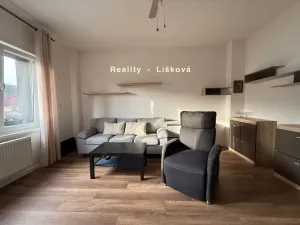 Pronájem bytu 2+1, Ústí nad Labem - Neštěmice, Opletalova, 50 m2