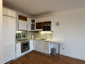 Pronájem bytu 1+kk, Brno - Lesná, Tomečkova, 41 m2