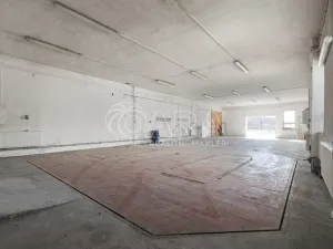 Pronájem výrobních prostor, Nový Jičín, Riegrova, 2293 m2