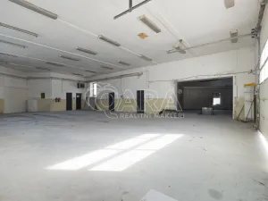 Pronájem výrobních prostor, Nový Jičín, Riegrova, 2293 m2