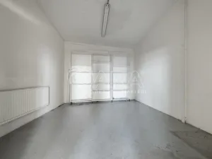 Pronájem výrobních prostor, Nový Jičín, Riegrova, 2293 m2