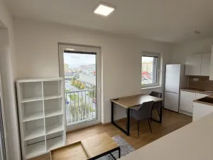 Pronájem bytu 1+kk, Přerov, Čechova, 32 m2