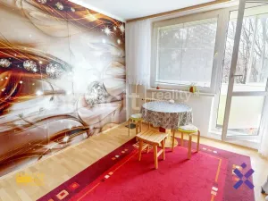 Prodej bytu 1+kk, Otrokovice, Školní, 30 m2
