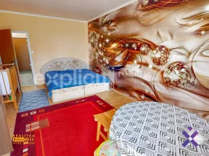 Prodej bytu 1+kk, Otrokovice, Školní, 30 m2