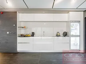 Pronájem bytu 4+kk, Praha - Smíchov, Holečkova, 207 m2