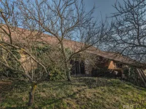 Prodej chalupy, Horní Dunajovice, 350 m2