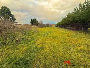 Prodej rodinného domu, Kostelec nad Labem, Kostelecká, 350 m2