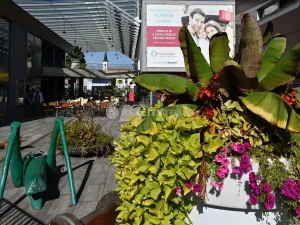 Pronájem obchodního prostoru, Strakonice, Bezděkovská, 58 m2