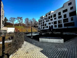 Pronájem bytu 2+kk, Praha - Žižkov, Olgy Havlové, 53 m2