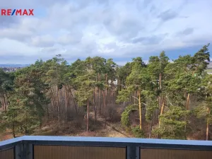 Pronájem bytu 3+1, Třebíč - Nové Dvory, Jar. Haška, 73 m2