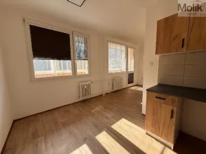 Pronájem bytu 3+1, Most, U Stadionu, 55 m2