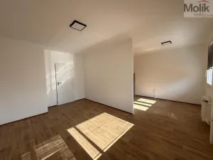 Pronájem bytu 3+1, Most, U Stadionu, 55 m2