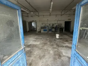 Prodej výrobních prostor, Okrouhlice, 551 m2