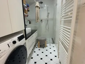 Pronájem bytu 2+kk, Brno - Ponava, Domažlická, 60 m2