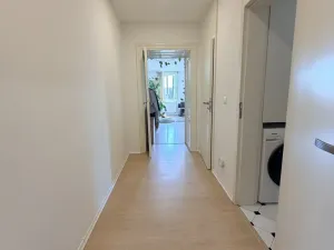 Pronájem bytu 2+kk, Brno - Ponava, Domažlická, 60 m2