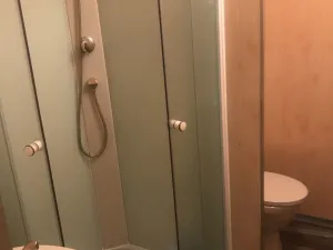 Pronájem bytu 1+1, Hodonín, Lesní, 37 m2