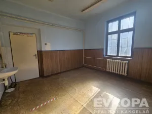 Prodej komerční nemovitosti, Rudník, 287 m2