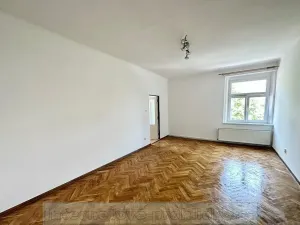 Pronájem bytu 1+1, Praha - Žižkov, Luční, 69 m2