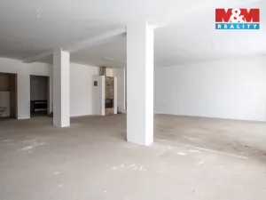 Prodej obchodního prostoru, Šumavské Hoštice - Kosmo, 316 m2