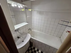 Prodej bytu 1+1, Praha - Vršovice, U Slavie, 44 m2