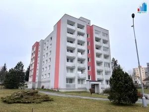 Pronájem bytu 1+kk, Horní Bříza, U Vrbky, 27 m2