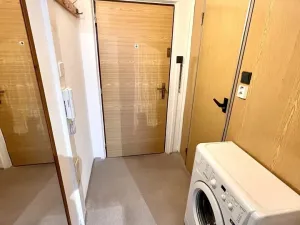 Pronájem bytu 1+kk, Horní Bříza, U Vrbky, 27 m2