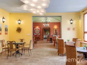 Prodej restaurace, Týnec nad Sázavou, 479 m2