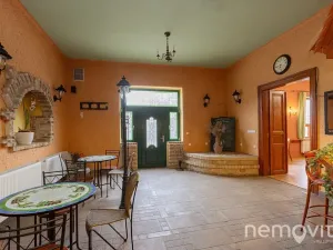 Prodej restaurace, Týnec nad Sázavou, 479 m2