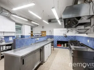 Prodej restaurace, Týnec nad Sázavou, 479 m2