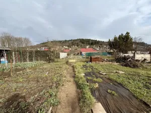 Prodej zahrady, Most, 390 m2