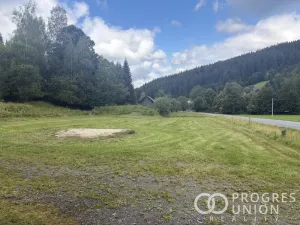 Prodej výrobních prostor, Velké Karlovice, 3509 m2