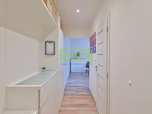 Pronájem bytu 2+kk, Brno - Horní Heršpice, Bednářova, 65 m2