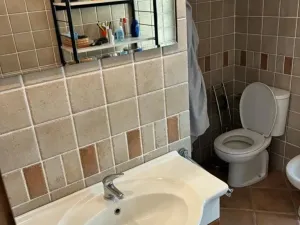 Prodej chalupy, Nový Hrozenkov, 287 m2