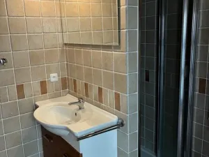 Prodej vícegeneračního domu, Nový Hrozenkov, 287 m2