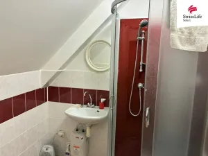 Prodej vícegeneračního domu, Nový Hrozenkov, 287 m2