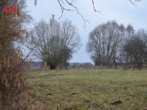 Prodej pole, Hrubá Skála, 1706 m2