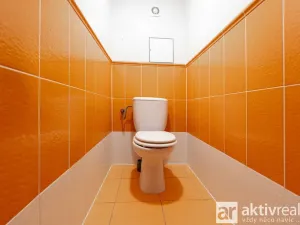 Prodej bytu 2+kk, Šestajovice, Komenského, 63 m2