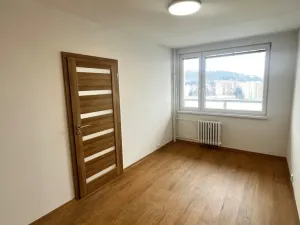 Prodej bytu 1+1, Litoměřice - Pokratice, Revoluční, 35 m2