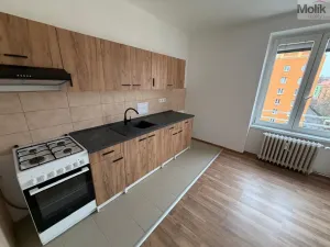 Prodej bytu 2+1, Most, tř. Budovatelů, 56 m2