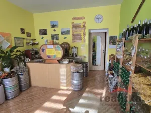 Prodej obchodního prostoru, Opava, Nákladní, 37 m2