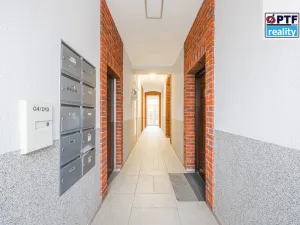 Pronájem obchodního prostoru, Plzeň, Na Roudné, 43 m2