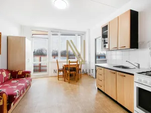 Pronájem bytu 1+1, Plzeň, Heyrovského, 36 m2