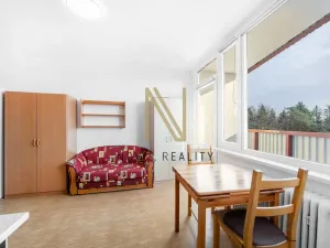 Pronájem bytu 1+1, Plzeň, Heyrovského, 36 m2