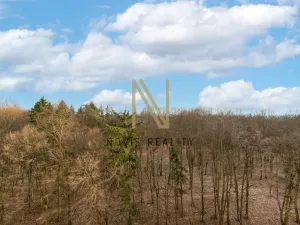 Pronájem bytu 1+1, Plzeň, Heyrovského, 36 m2