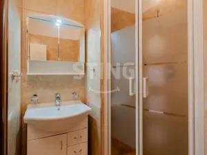 Prodej bytu 1+1, Opava, Holasická, 35 m2