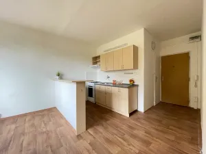 Pronájem bytu 1+1, Litvínov, Tylova, 38 m2