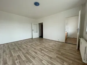 Pronájem bytu 1+kk, Litvínov, Studentská, 36 m2